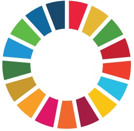 SDG Logo